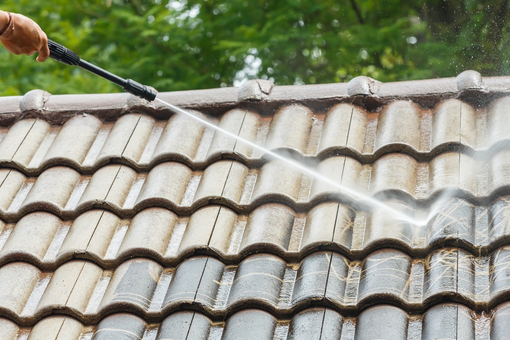 roof cleaning 