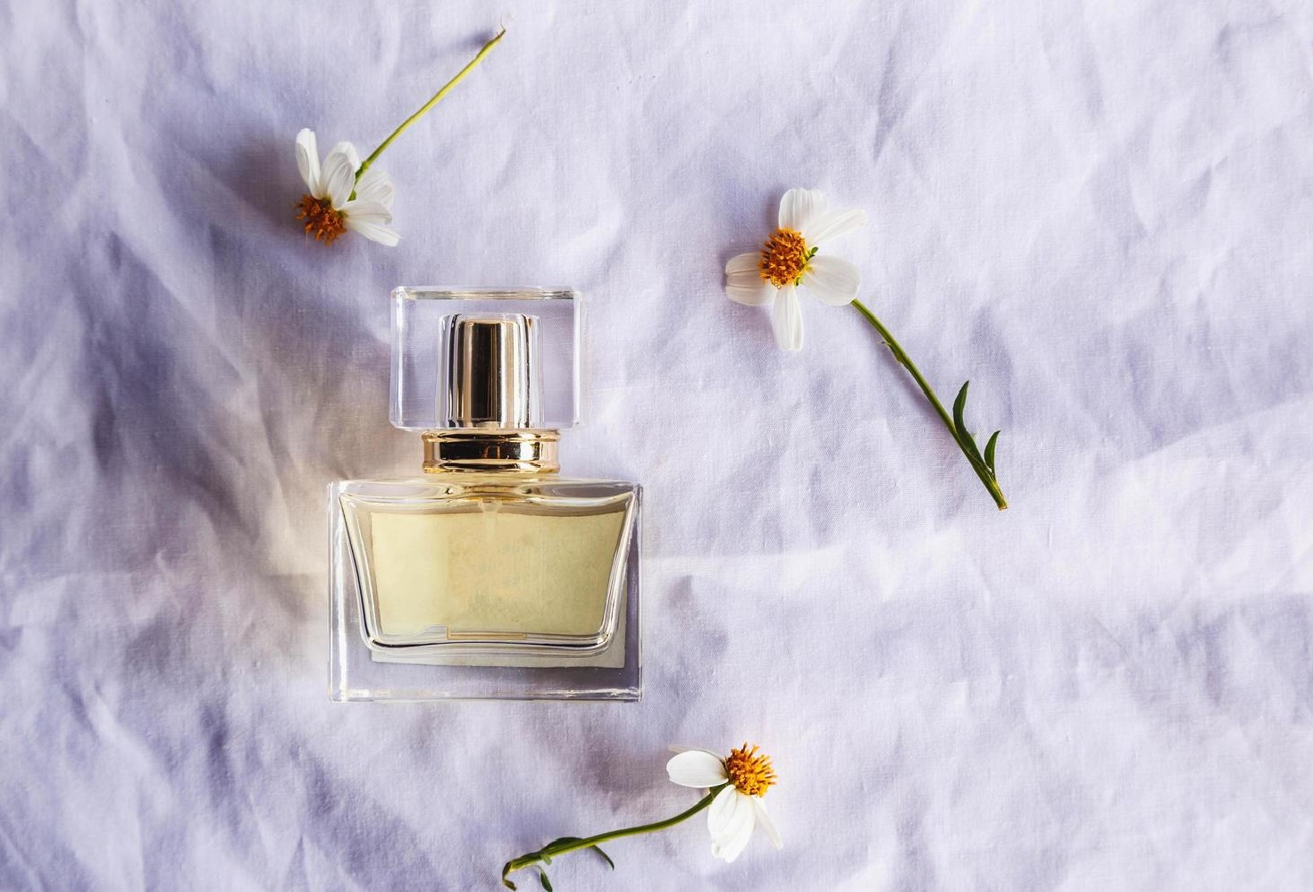 Perfume Choices